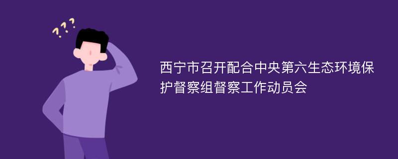 西宁市召开配合中央第六生态环境保护督察组督察工作动员会