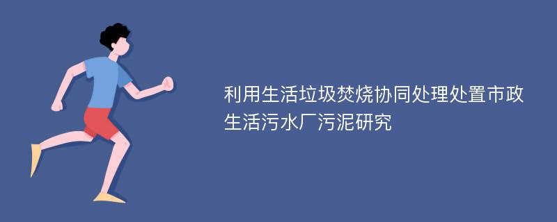 利用生活垃圾焚烧协同处理处置市政生活污水厂污泥研究