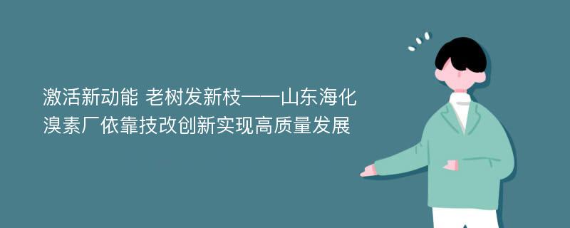 激活新动能 老树发新枝——山东海化溴素厂依靠技改创新实现高质量发展