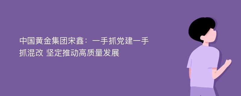 中国黄金集团宋鑫：一手抓党建一手抓混改 坚定推动高质量发展