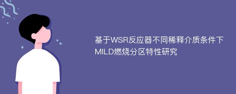 基于WSR反应器不同稀释介质条件下MILD燃烧分区特性研究