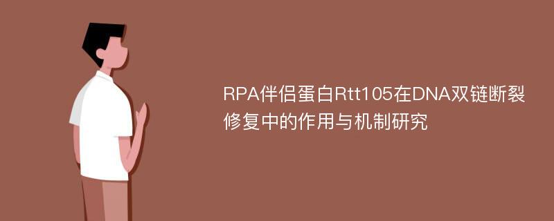 RPA伴侣蛋白Rtt105在DNA双链断裂修复中的作用与机制研究