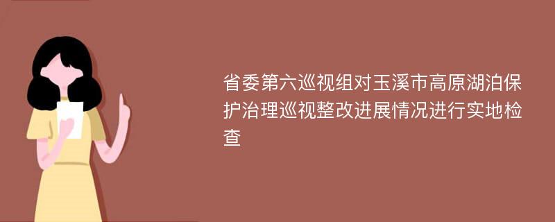 省委第六巡视组对玉溪市高原湖泊保护治理巡视整改进展情况进行实地检查