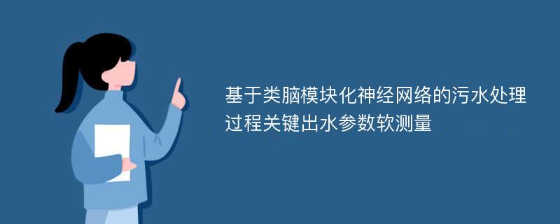 基于类脑模块化神经网络的污水处理过程关键出水参数软测量