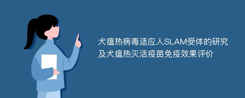 犬瘟热病毒适应人SLAM受体的研究及犬瘟热灭活疫苗免疫效果评价