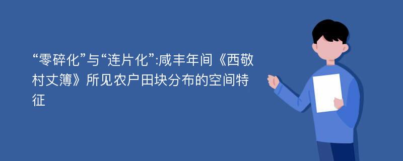 “零碎化”与“连片化”:咸丰年间《西敬村丈簿》所见农户田块分布的空间特征