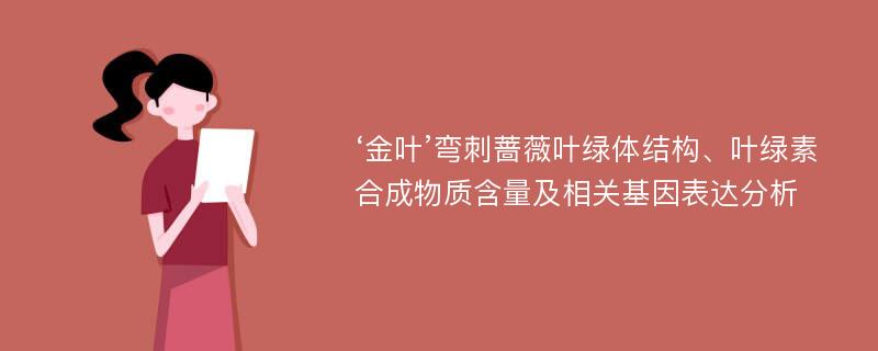 ‘金叶’弯刺蔷薇叶绿体结构、叶绿素合成物质含量及相关基因表达分析