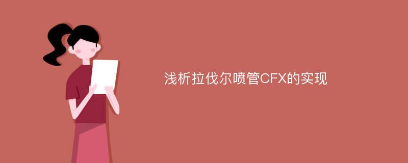 浅析拉伐尔喷管CFX的实现