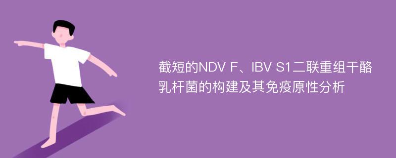 截短的NDV F、IBV S1二联重组干酪乳杆菌的构建及其免疫原性分析