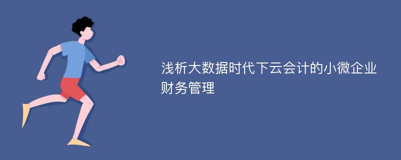 浅析大数据时代下云会计的小微企业财务管理