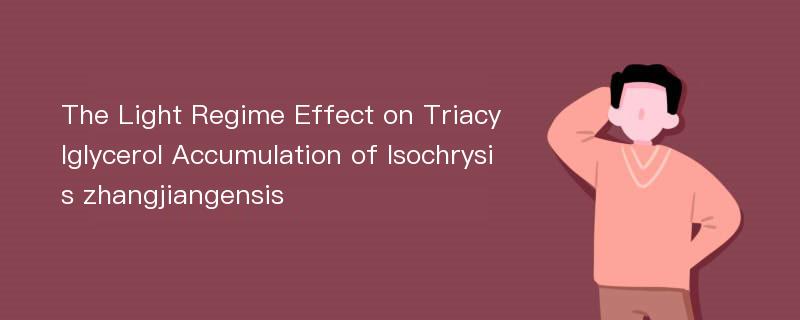 The Light Regime Effect on Triacylglycerol Accumulation of Isochrysis zhangjiangensis