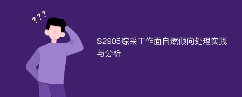 S2905综采工作面自燃倾向处理实践与分析