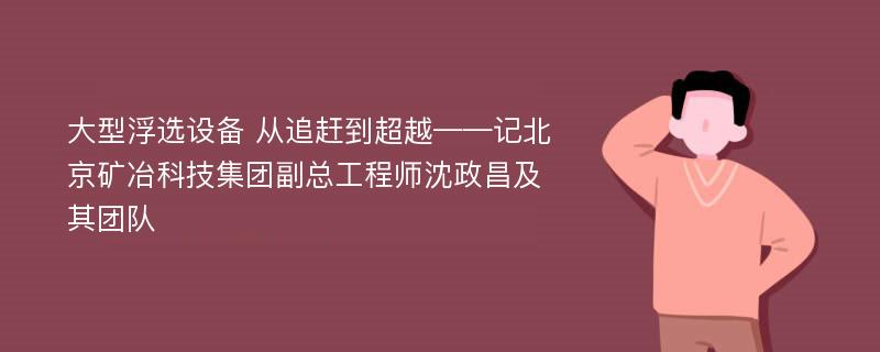 大型浮选设备 从追赶到超越——记北京矿冶科技集团副总工程师沈政昌及其团队