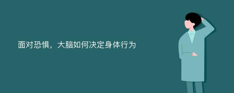 面对恐惧，大脑如何决定身体行为