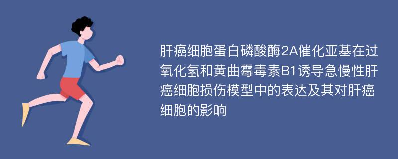 肝癌细胞蛋白磷酸酶2A催化亚基在过氧化氢和黄曲霉毒素B1诱导急慢性肝癌细胞损伤模型中的表达及其对肝癌细胞的影响