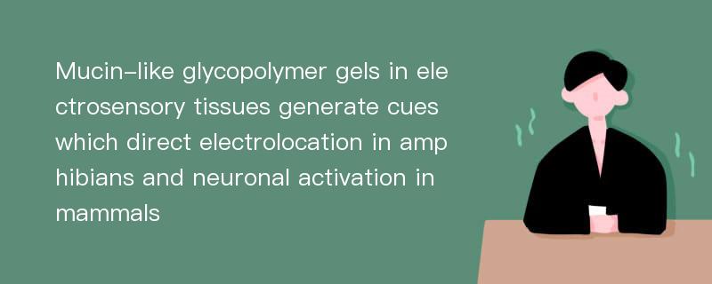 Mucin-like glycopolymer gels in electrosensory tissues generate cues which direct electrolocation in amphibians and neuronal activation in mammals