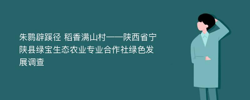 朱鹮辟蹊径 稻香满山村——陕西省宁陕县绿宝生态农业专业合作社绿色发展调查