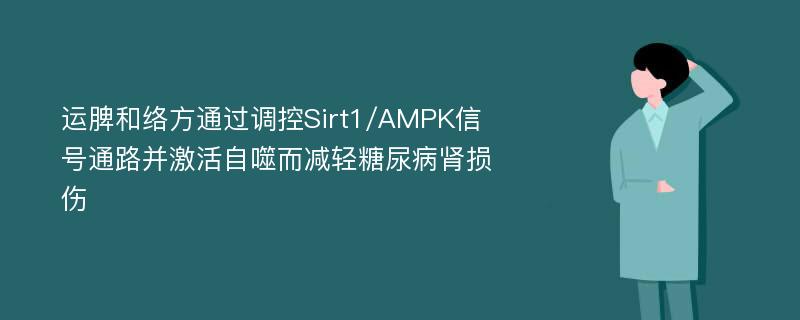 运脾和络方通过调控Sirt1/AMPK信号通路并激活自噬而减轻糖尿病肾损伤