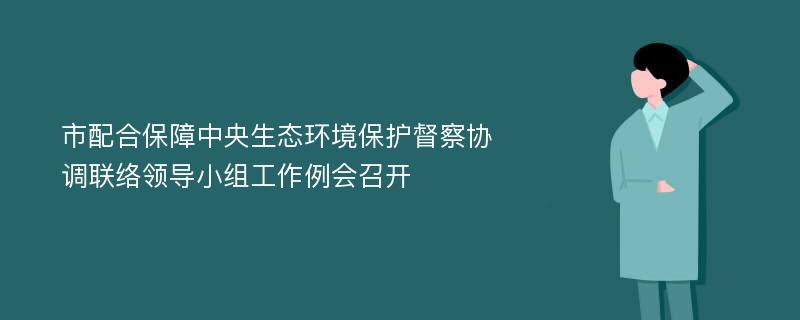 市配合保障中央生态环境保护督察协调联络领导小组工作例会召开