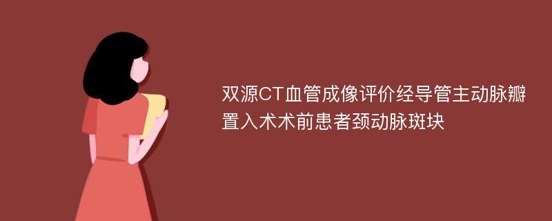 双源CT血管成像评价经导管主动脉瓣置入术术前患者颈动脉斑块