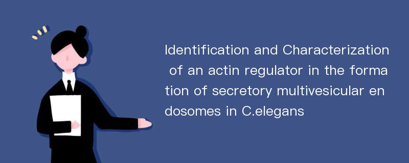 Identification and Characterization of an actin regulator in the formation of secretory multivesicular endosomes in C.elegans