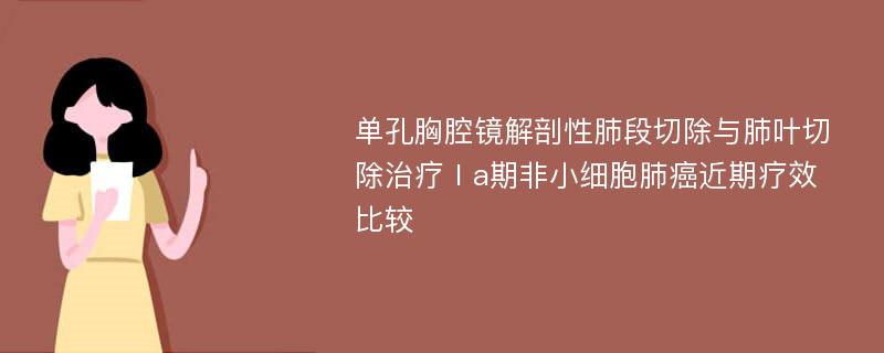 单孔胸腔镜解剖性肺段切除与肺叶切除治疗Ⅰa期非小细胞肺癌近期疗效比较