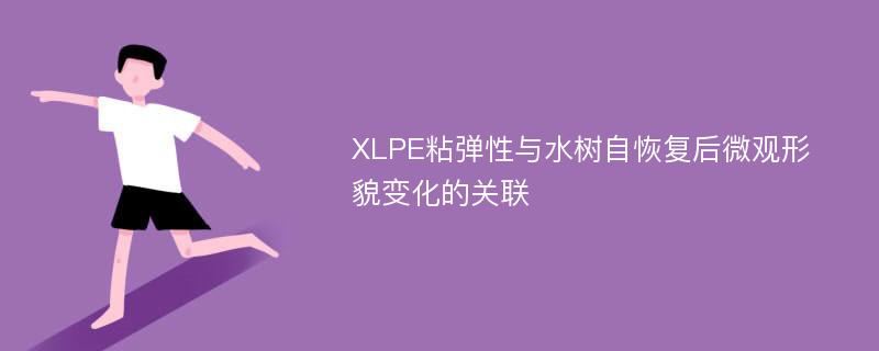 XLPE粘弹性与水树自恢复后微观形貌变化的关联