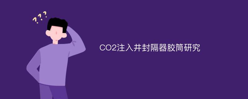 CO2注入井封隔器胶筒研究