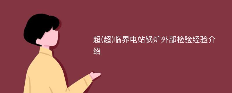 超(超)临界电站锅炉外部检验经验介绍