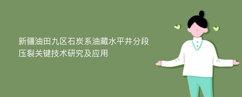 新疆油田九区石炭系油藏水平井分段压裂关键技术研究及应用