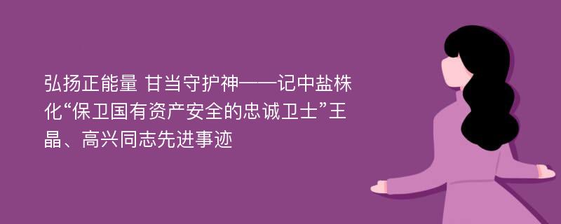 弘扬正能量 甘当守护神——记中盐株化“保卫国有资产安全的忠诚卫士”王晶、高兴同志先进事迹