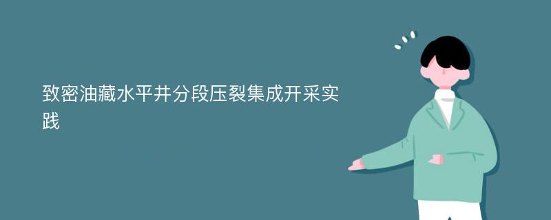 致密油藏水平井分段压裂集成开采实践