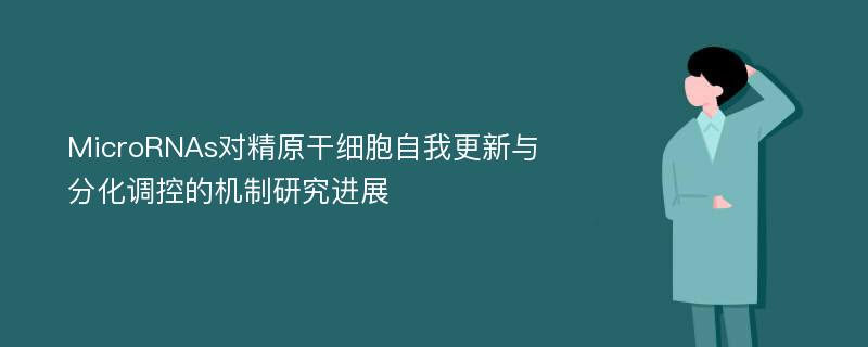 MicroRNAs对精原干细胞自我更新与分化调控的机制研究进展