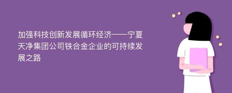 加强科技创新发展循环经济——宁夏天净集团公司铁合金企业的可持续发展之路