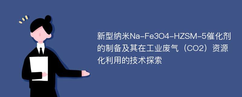 新型纳米Na-Fe3O4-HZSM-5催化剂的制备及其在工业废气（CO2）资源化利用的技术探索