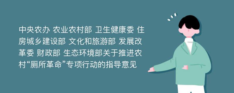 中央农办 农业农村部 卫生健康委 住房城乡建设部 文化和旅游部 发展改革委 财政部 生态环境部关于推进农村“厕所革命”专项行动的指导意见