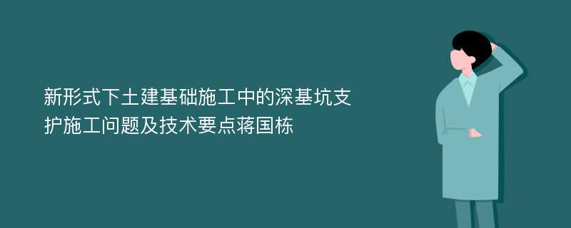 新形式下土建基础施工中的深基坑支护施工问题及技术要点蒋国栋