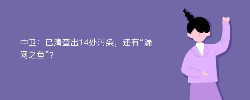 中卫：已清查出14处污染，还有“漏网之鱼”？