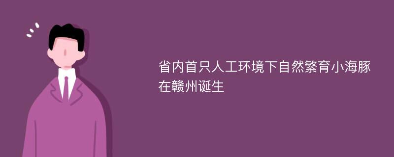 省内首只人工环境下自然繁育小海豚在赣州诞生