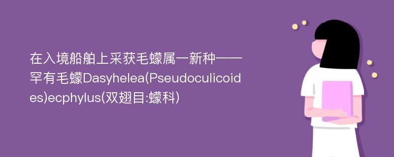 在入境船舶上采获毛蠓属一新种——罕有毛蠓Dasyhelea(Pseudoculicoides)ecphylus(双翅目:蠓科)