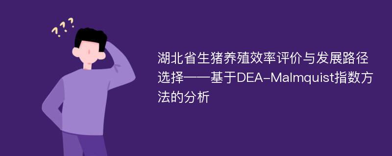 湖北省生猪养殖效率评价与发展路径选择——基于DEA-Malmquist指数方法的分析