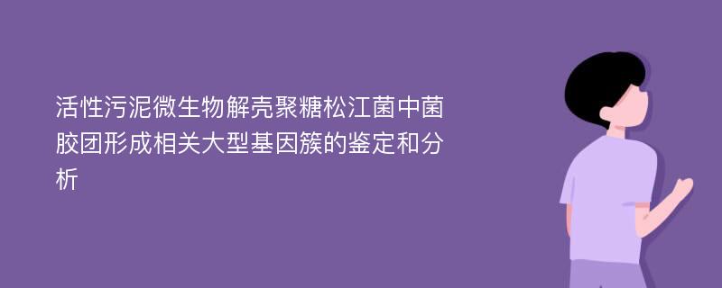 活性污泥微生物解壳聚糖松江菌中菌胶团形成相关大型基因簇的鉴定和分析