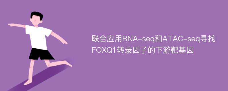 联合应用RNA-seq和ATAC-seq寻找FOXQ1转录因子的下游靶基因