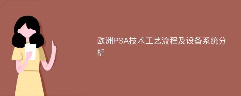 欧洲PSA技术工艺流程及设备系统分析