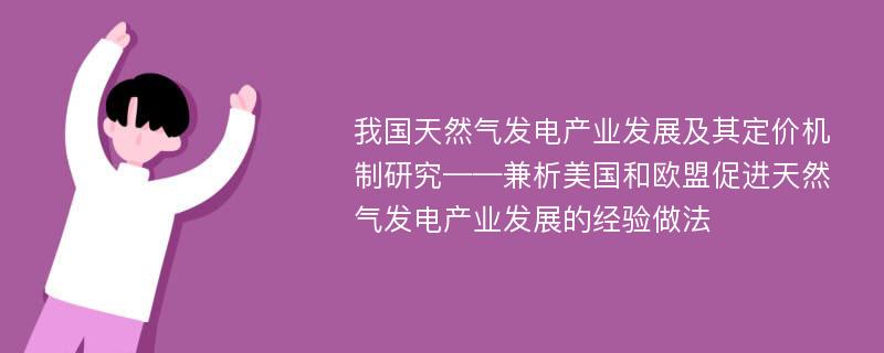 我国天然气发电产业发展及其定价机制研究——兼析美国和欧盟促进天然气发电产业发展的经验做法