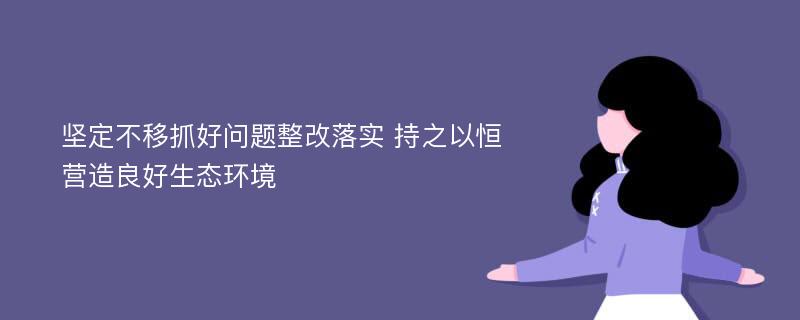 坚定不移抓好问题整改落实 持之以恒营造良好生态环境