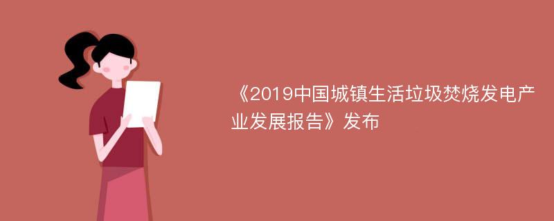 《2019中国城镇生活垃圾焚烧发电产业发展报告》发布