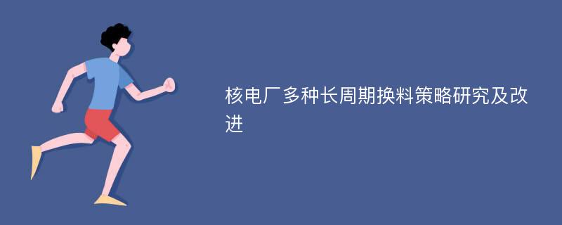 核电厂多种长周期换料策略研究及改进