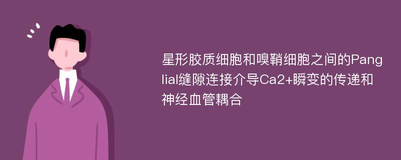 星形胶质细胞和嗅鞘细胞之间的Panglial缝隙连接介导Ca2+瞬变的传递和神经血管耦合