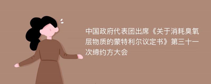 中国政府代表团出席《关于消耗臭氧层物质的蒙特利尔议定书》第三十一次缔约方大会